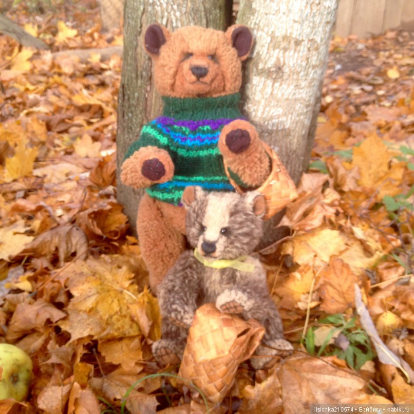 Осень продолжается, медведи прибавляются