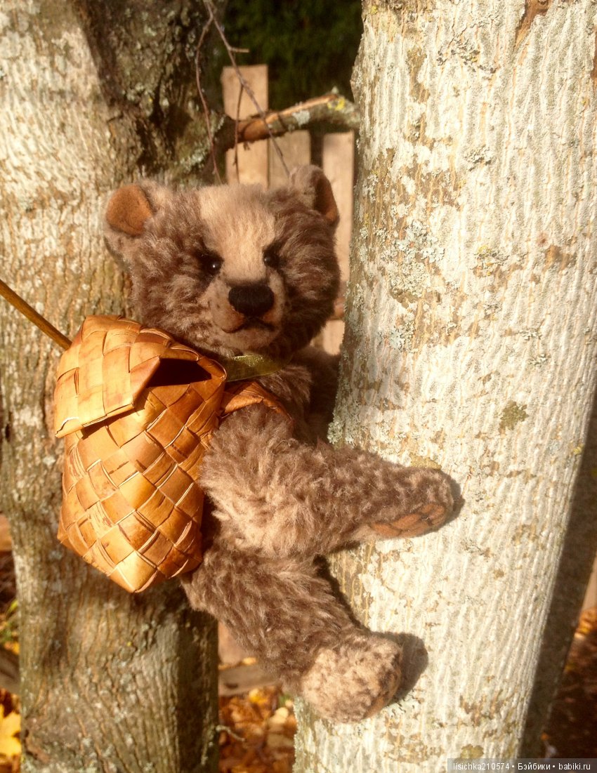 Осень продолжается, медведи прибавляются (фото 10)