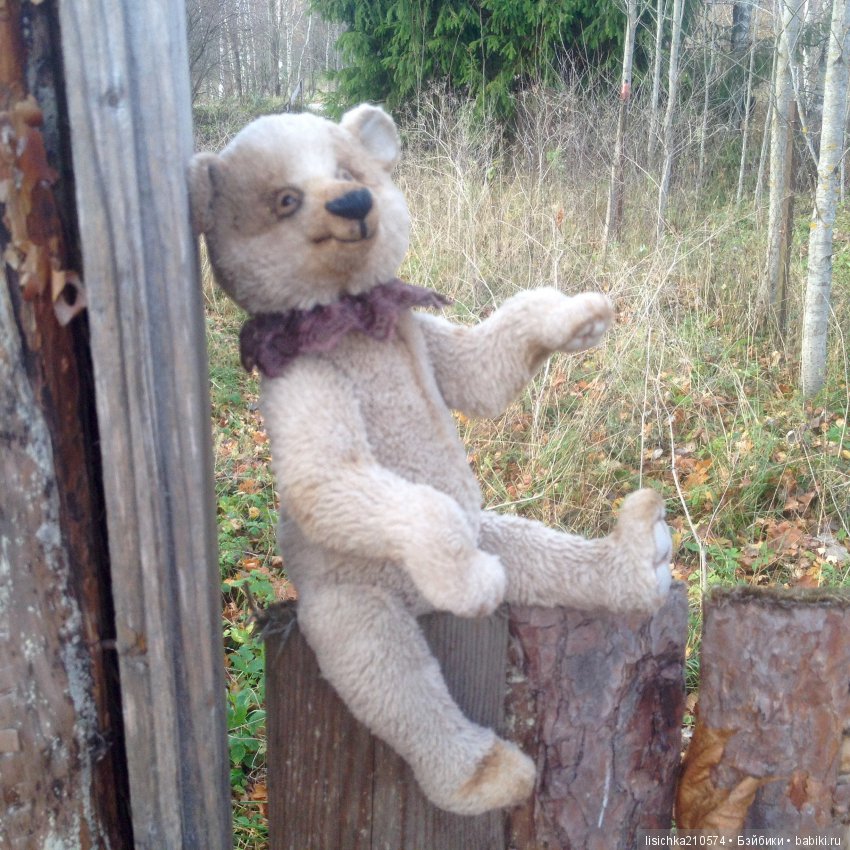 Осень продолжается, медведи прибавляются