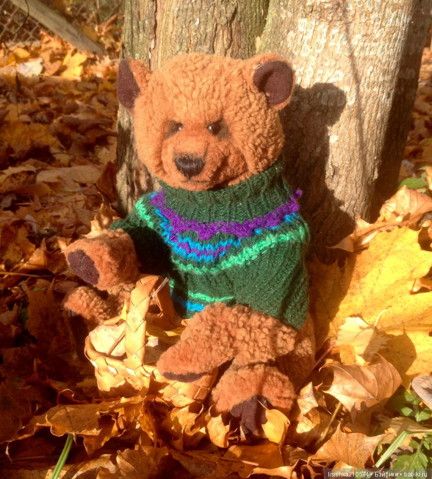 Осень продолжается, медведи прибавляются (фото 7)