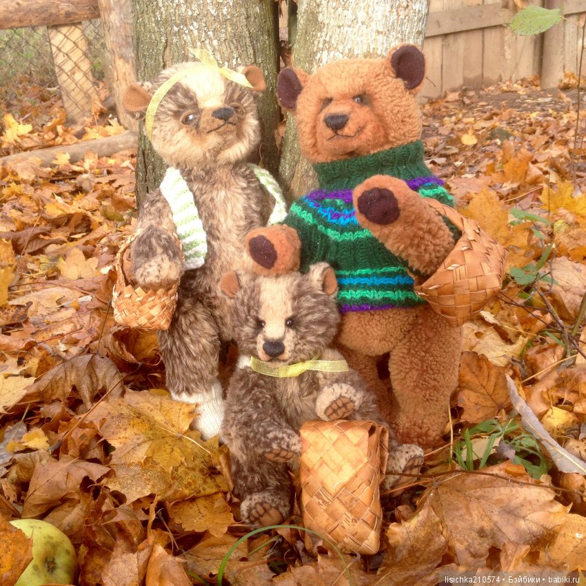 Осень продолжается, медведи прибавляются