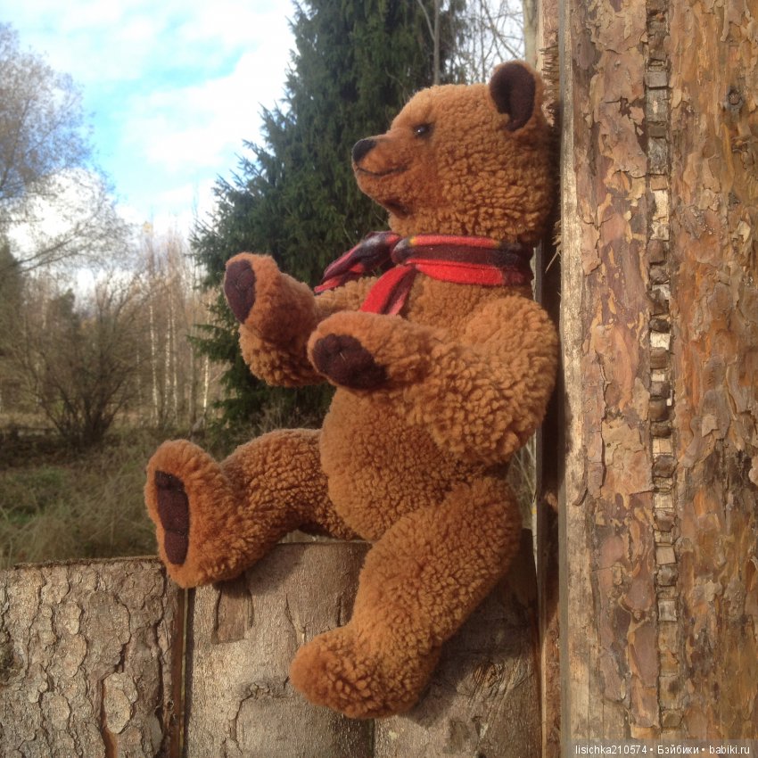 Осень продолжается, медведи прибавляются (фото 5)