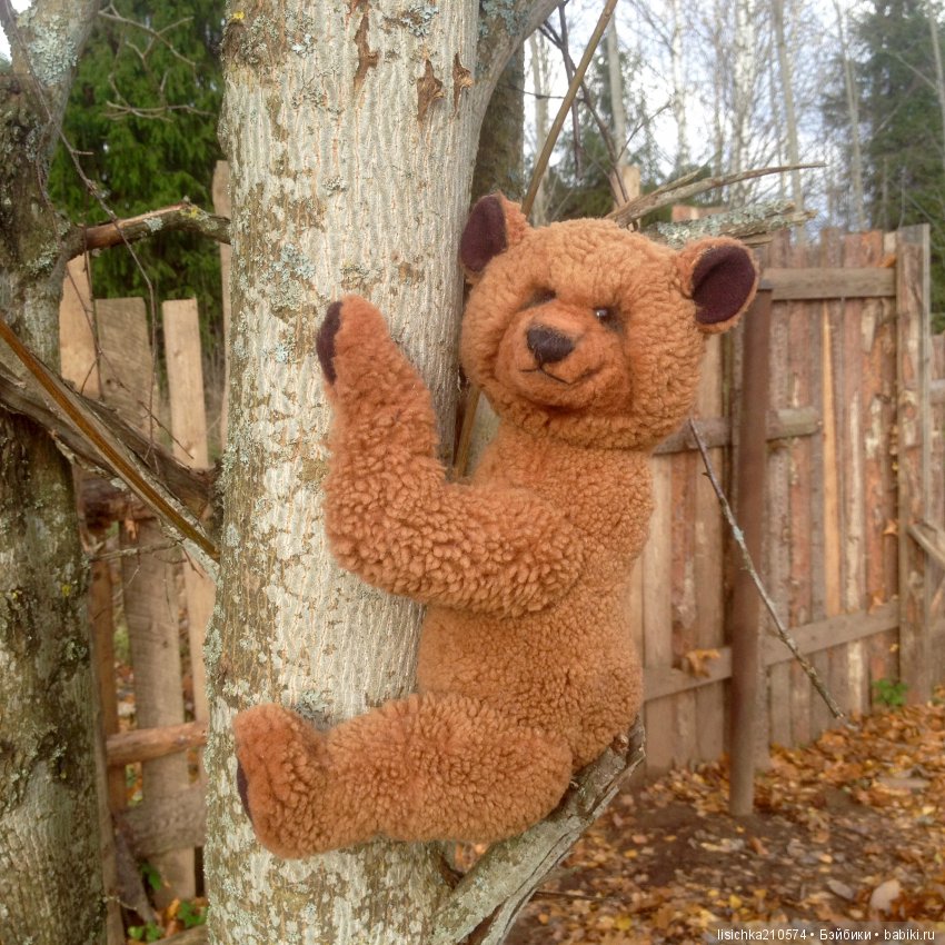 Осень продолжается, медведи прибавляются (фото 6)