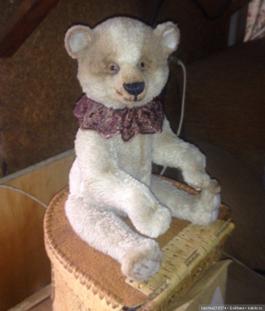 Осень продолжается, медведи прибавляются (фото 3)