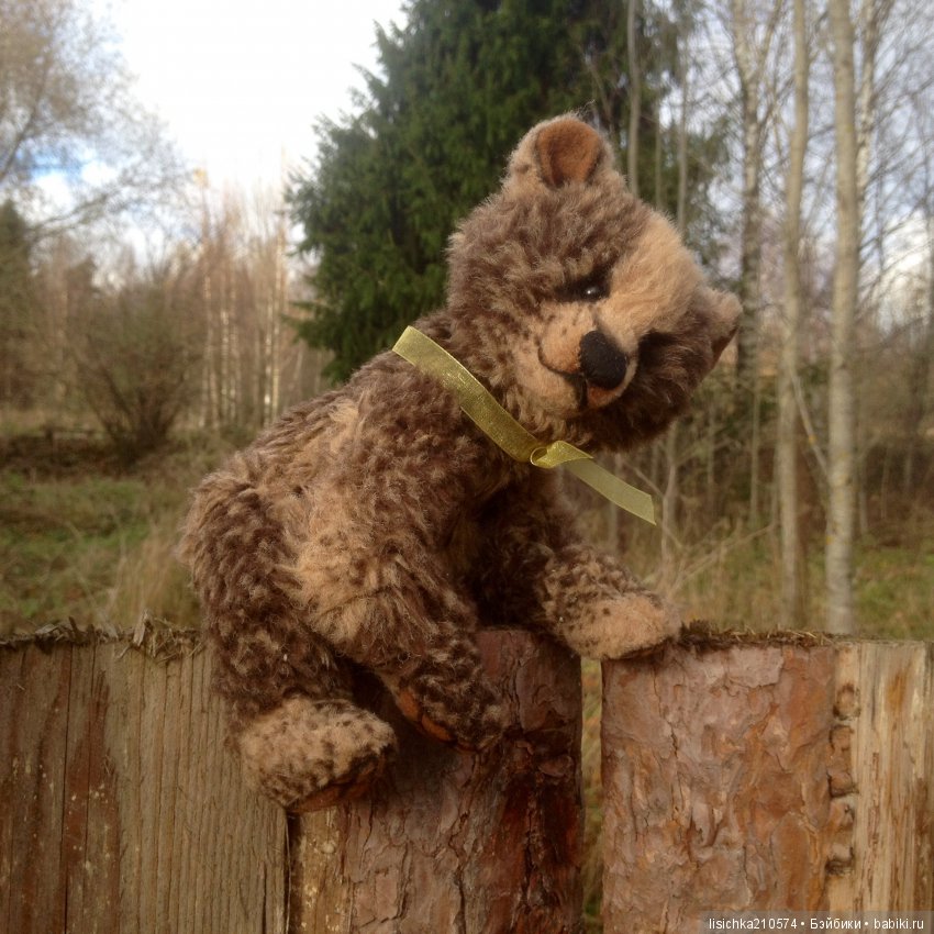 Осень продолжается, медведи прибавляются