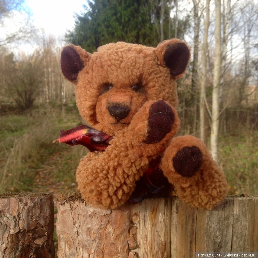 Осень продолжается, медведи прибавляются (фото 4)