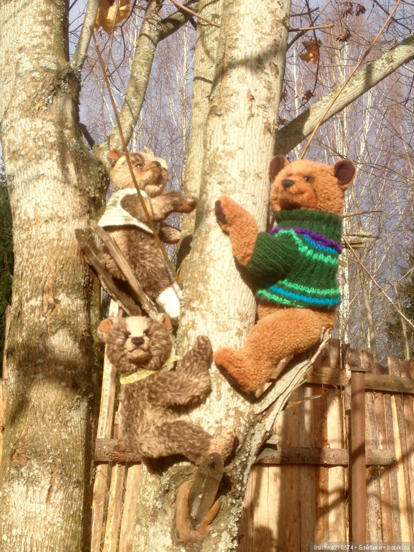 Осень продолжается, медведи прибавляются