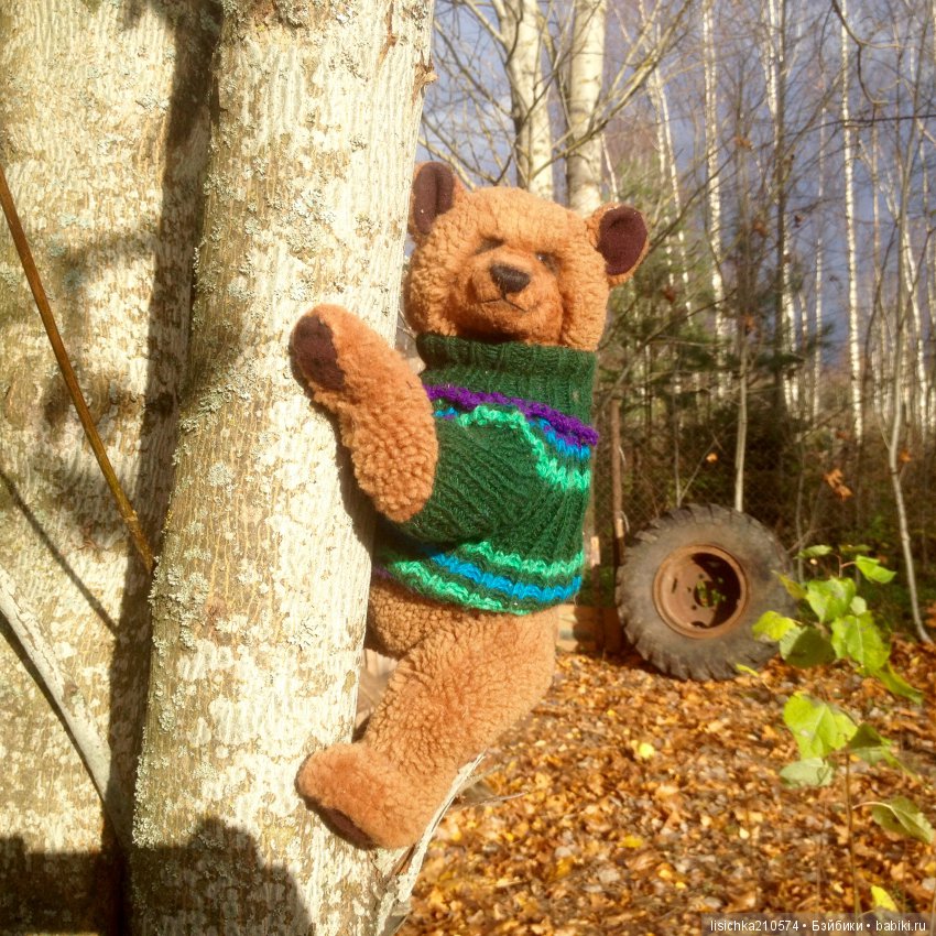 Осень продолжается, медведи прибавляются (фото 9)