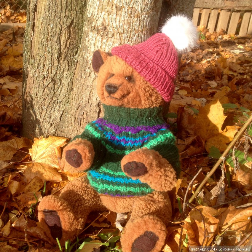 Осень продолжается, медведи прибавляются (фото 8)