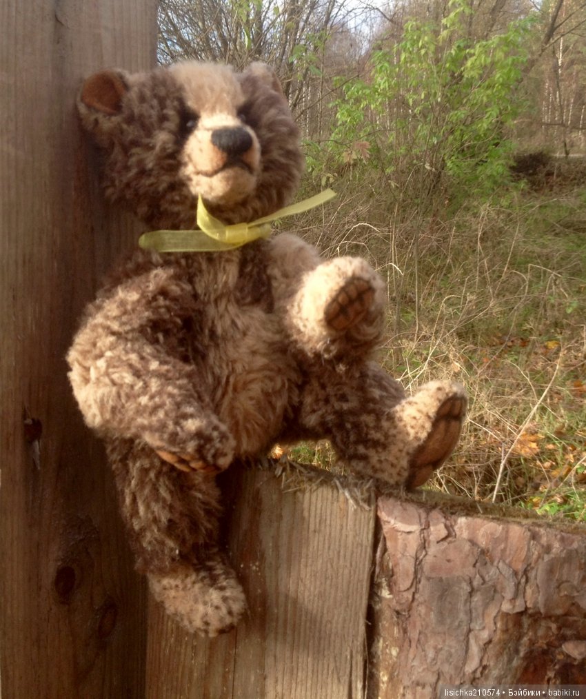 Осень продолжается, медведи прибавляются