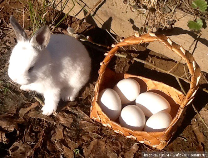Пасха. Светлая Пасха. Христос Воскрес | Бэйбики Пасха. Светлая Пасха. Христос Воскрес (фото 2)