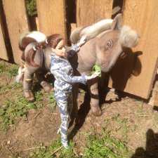 Я, люблю свою лошадку! Причешу ей шёрстку гладко... Текстильная шарнирная лошадка для Барби