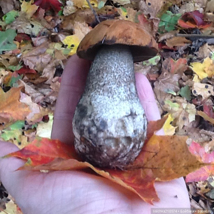 Сказка о руках и о снеговиках (фото 9)