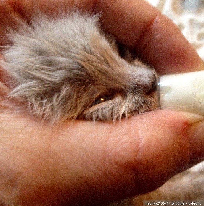 Сказка о руках и о снеговиках (фото 8)