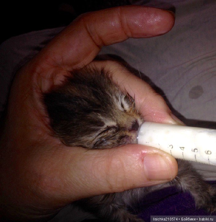 Сказка о руках и о снеговиках (фото 6)