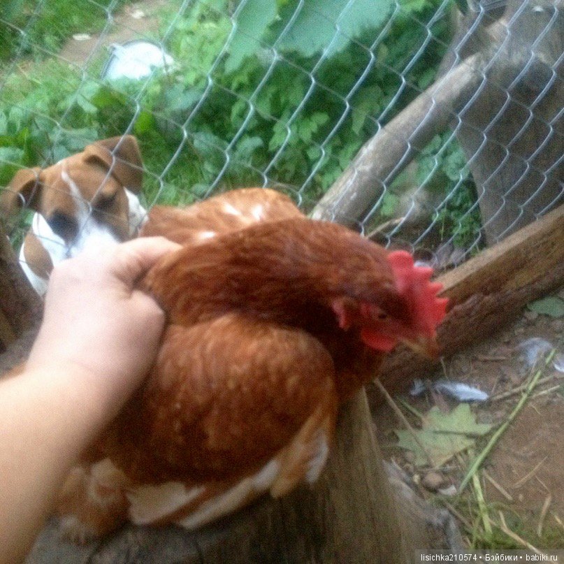 Сказка о руках и о снеговиках (фото 4)