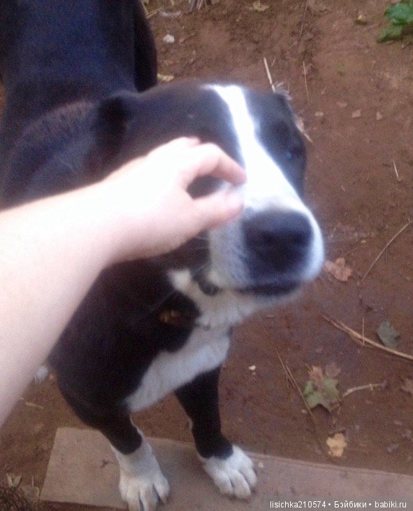 Сказка о руках и о снеговиках (фото 5)