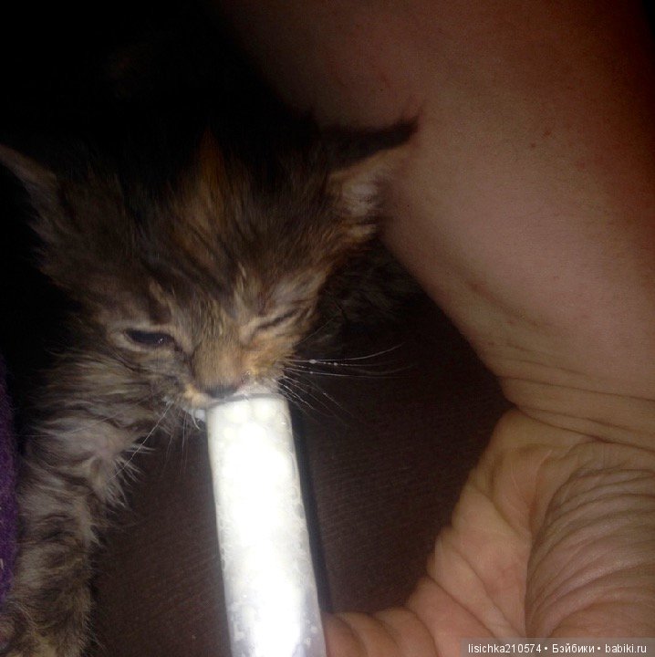 Сказка о руках и о снеговиках (фото 7)