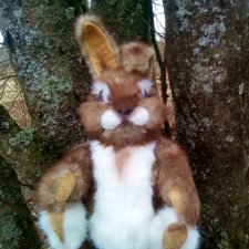 Пасха закончилась - зайцы остались