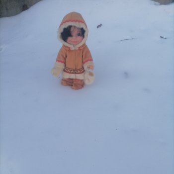 Северная сказка