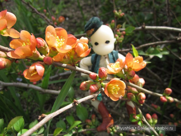 Весеннее цветение. И куклы (фото 6)