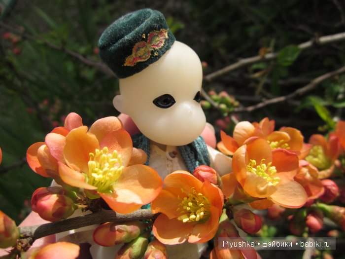Весеннее цветение. И куклы (фото 7)