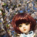 Весеннее цветение. И куклы!