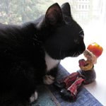 Коротенький топик в догонку к конкурсу "Кукла и питомец" о том, как Муся не хотела фотографироваться