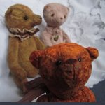 Мои мишки. Пополнение. Новенькая приехала