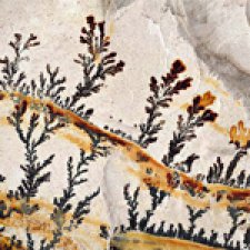 Лучший художник - природа. Узоры внутри камней. Часть первая.