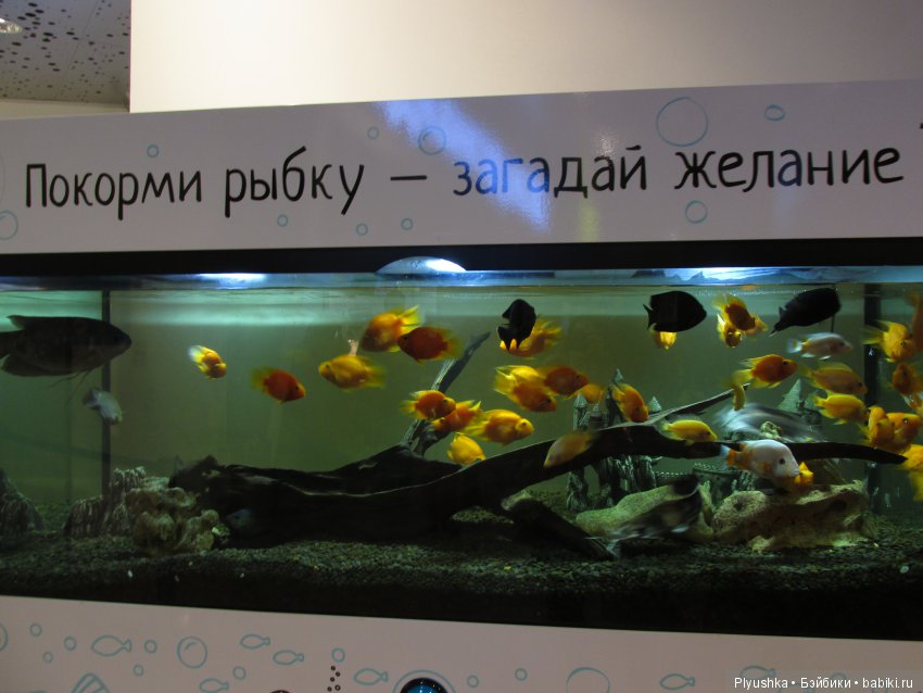 Новенький. Прогулка по вечерней Москве (фото 4)