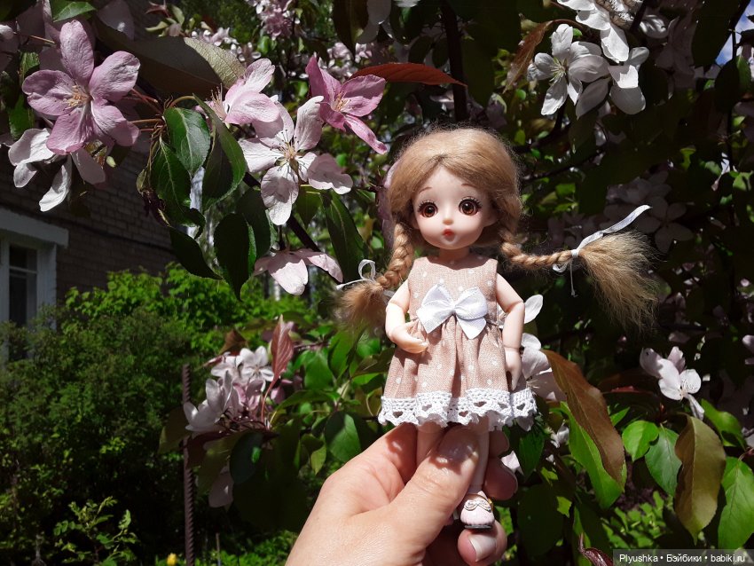 Продолжение про Оливку, её уютный уголок и прогулку (фото 4)