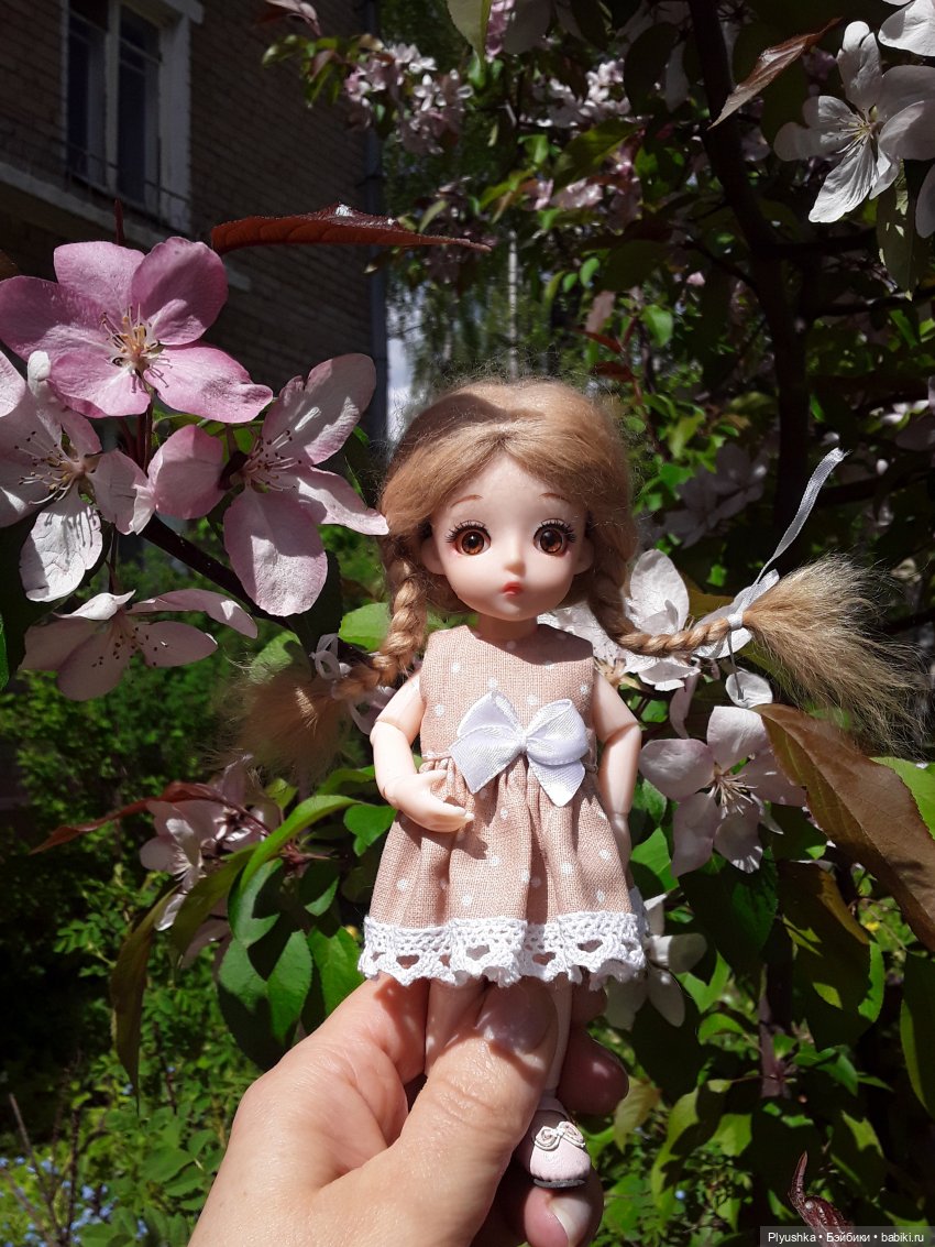 Продолжение про Оливку, её уютный уголок и прогулку