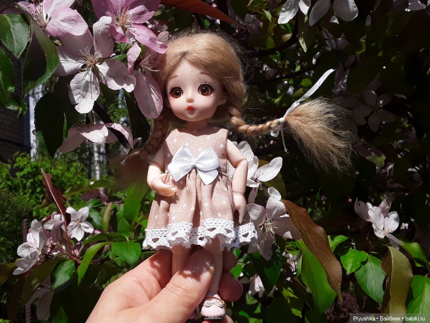 Продолжение про Оливку, её уютный уголок и прогулку (фото 3)