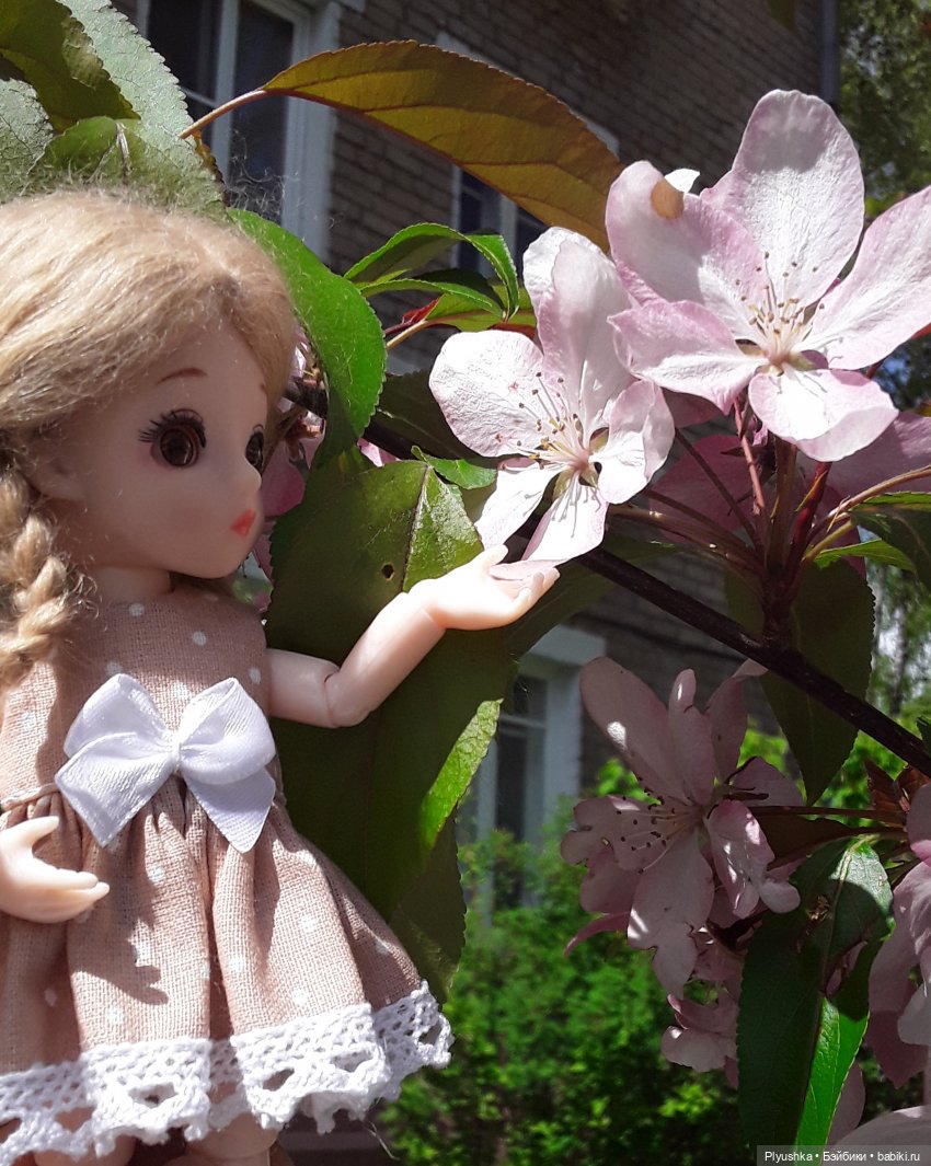 Продолжение про Оливку, её уютный уголок и прогулку (фото 2)