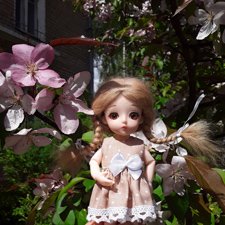 Продолжение про Оливку, её уютный уголок и прогулку