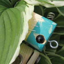 Роботы на природе