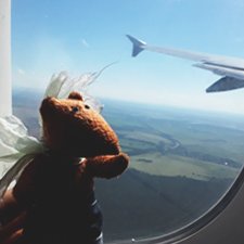 Лис Люк летит на юг