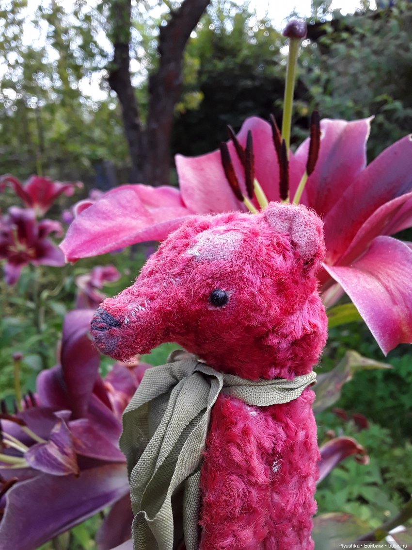 Наше лето. Мих и Михрютка (фото 8)