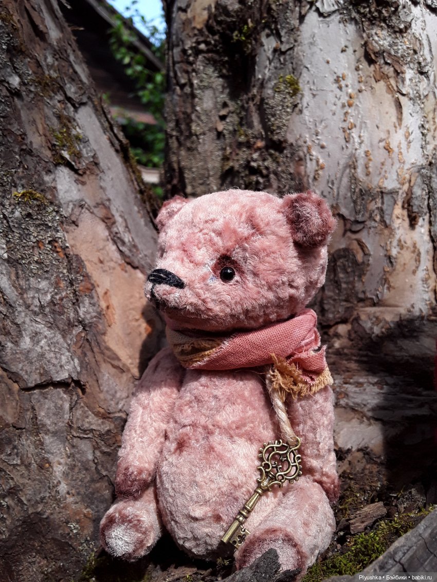 Наше лето. Мих и Михрютка (фото 5)