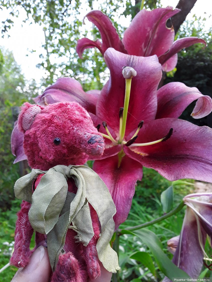 Наше лето. Мих и Михрютка (фото 9)