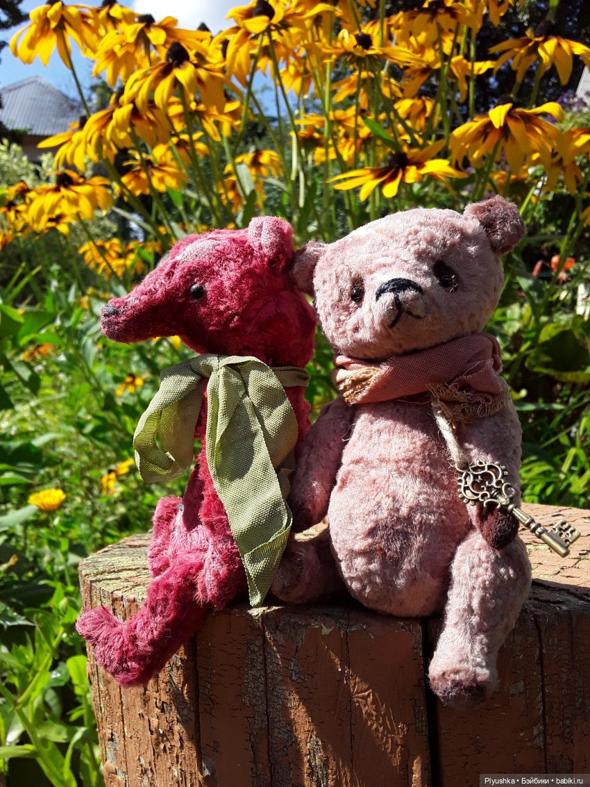 Наше лето. Мих и Михрютка (фото 7)