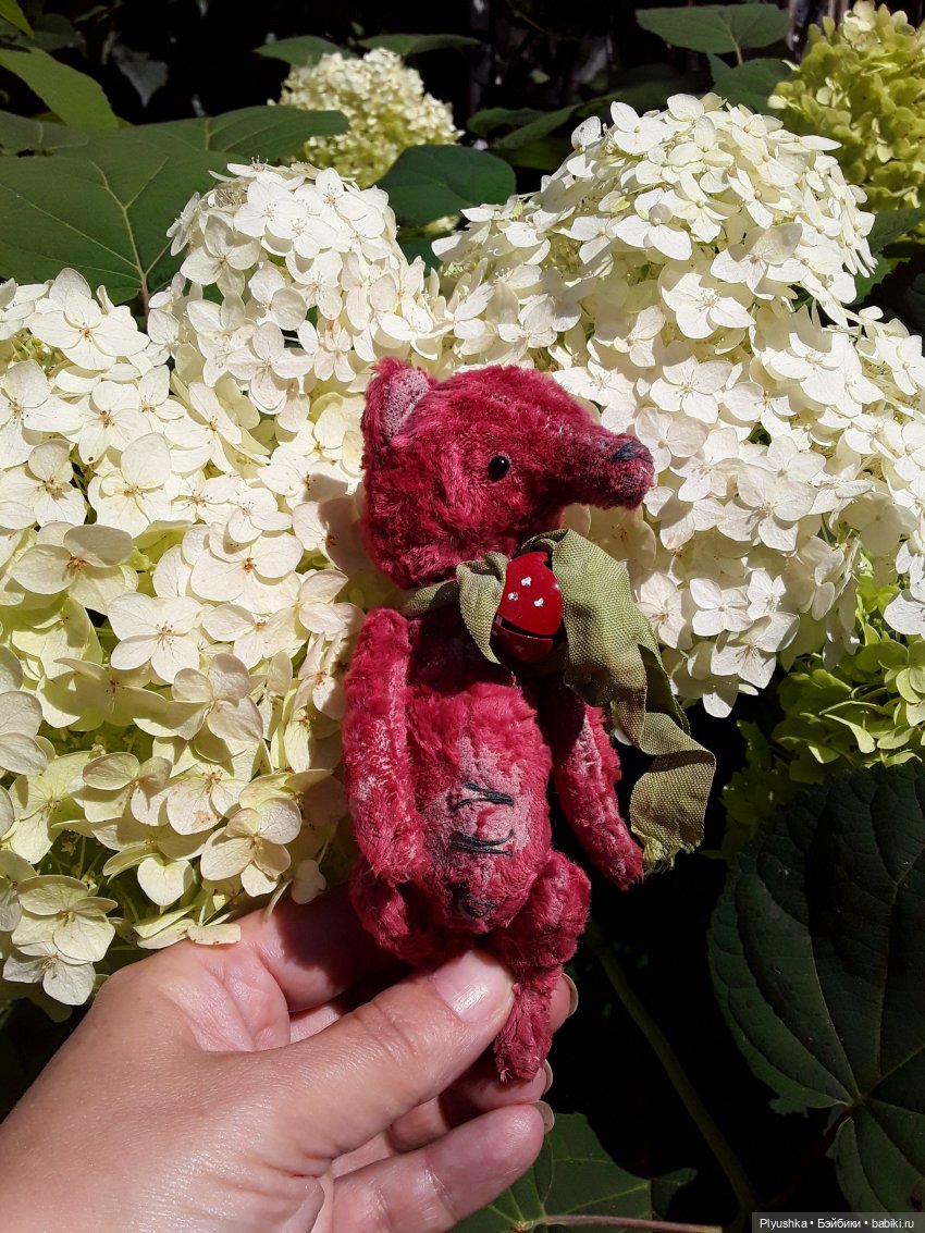 Наше лето. Мих и Михрютка