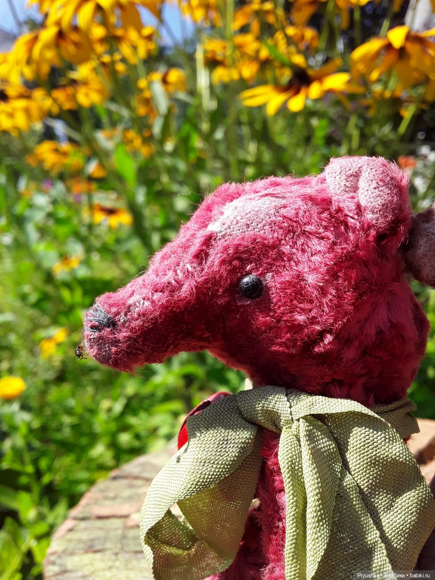 Наше лето. Мих и Михрютка