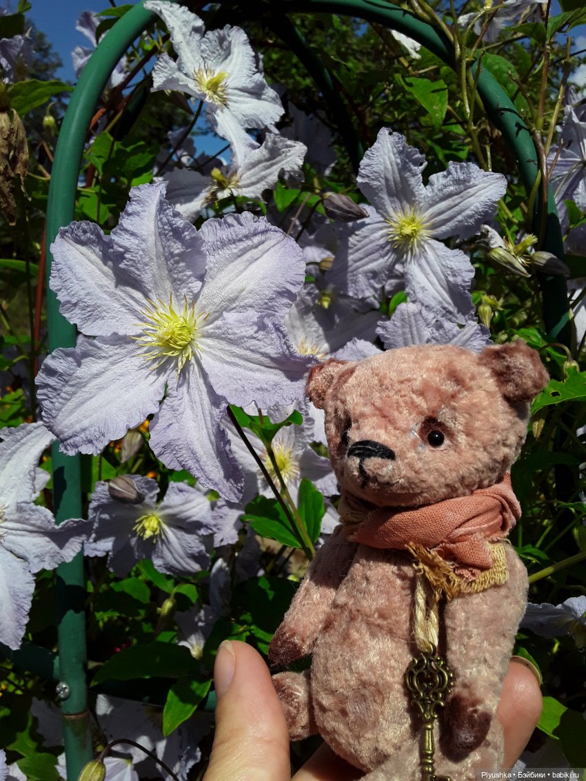 Наше лето. Мих и Михрютка