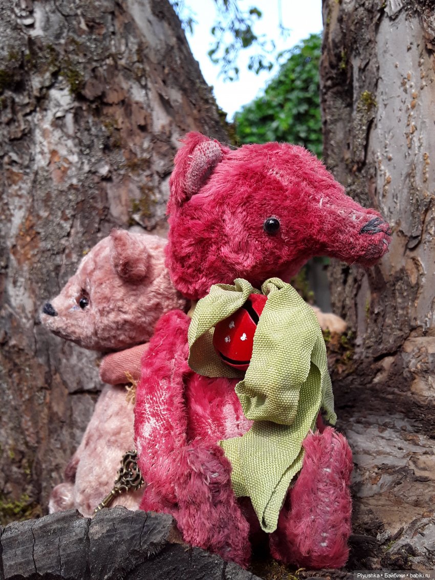 Наше лето. Мих и Михрютка (фото 6)