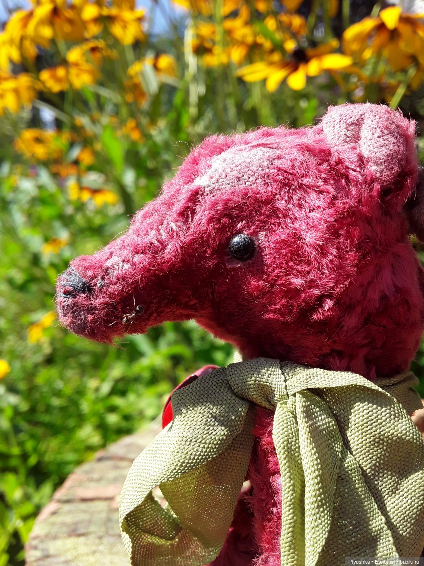 Наше лето. Мих и Михрютка