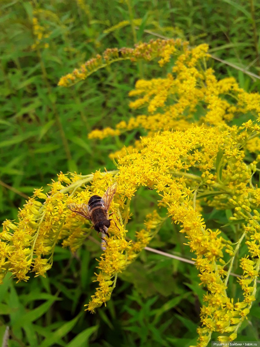 Варвара и старинные усадьбы. Заброшенные и не очень