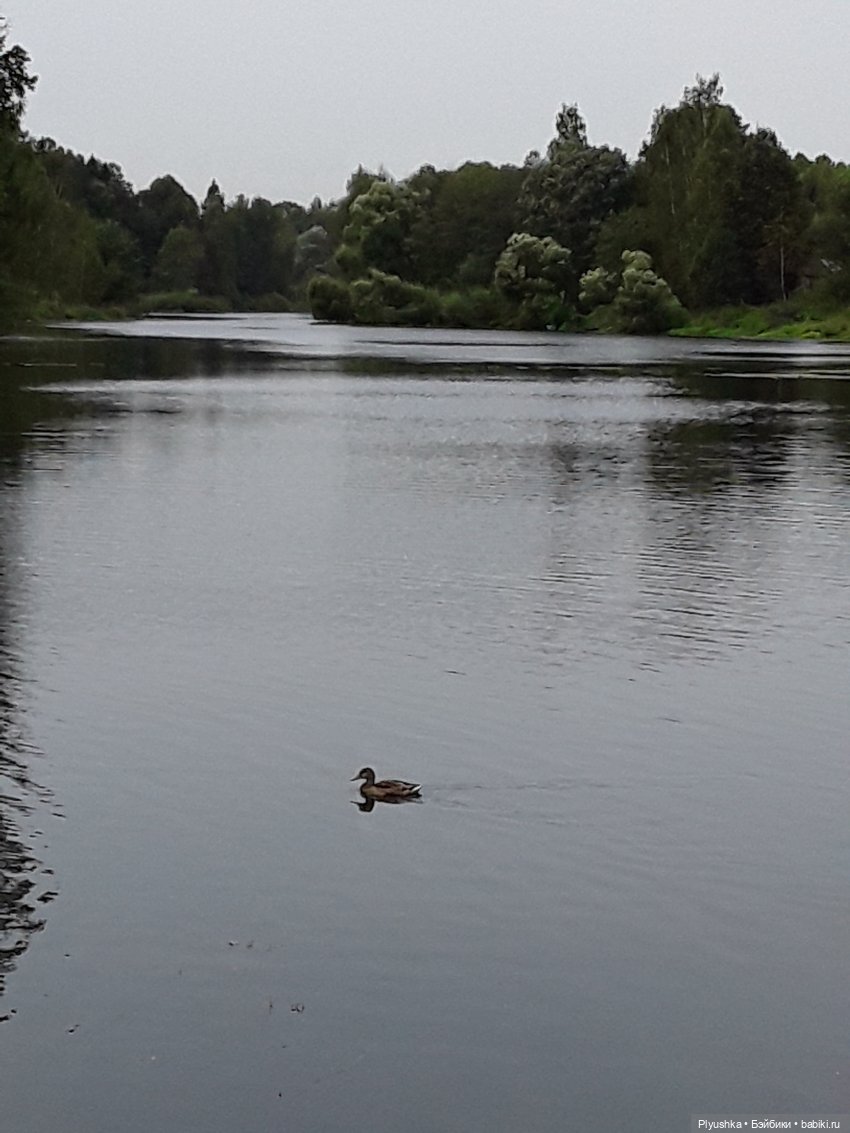 Варвара и старинные усадьбы. Заброшенные и не очень