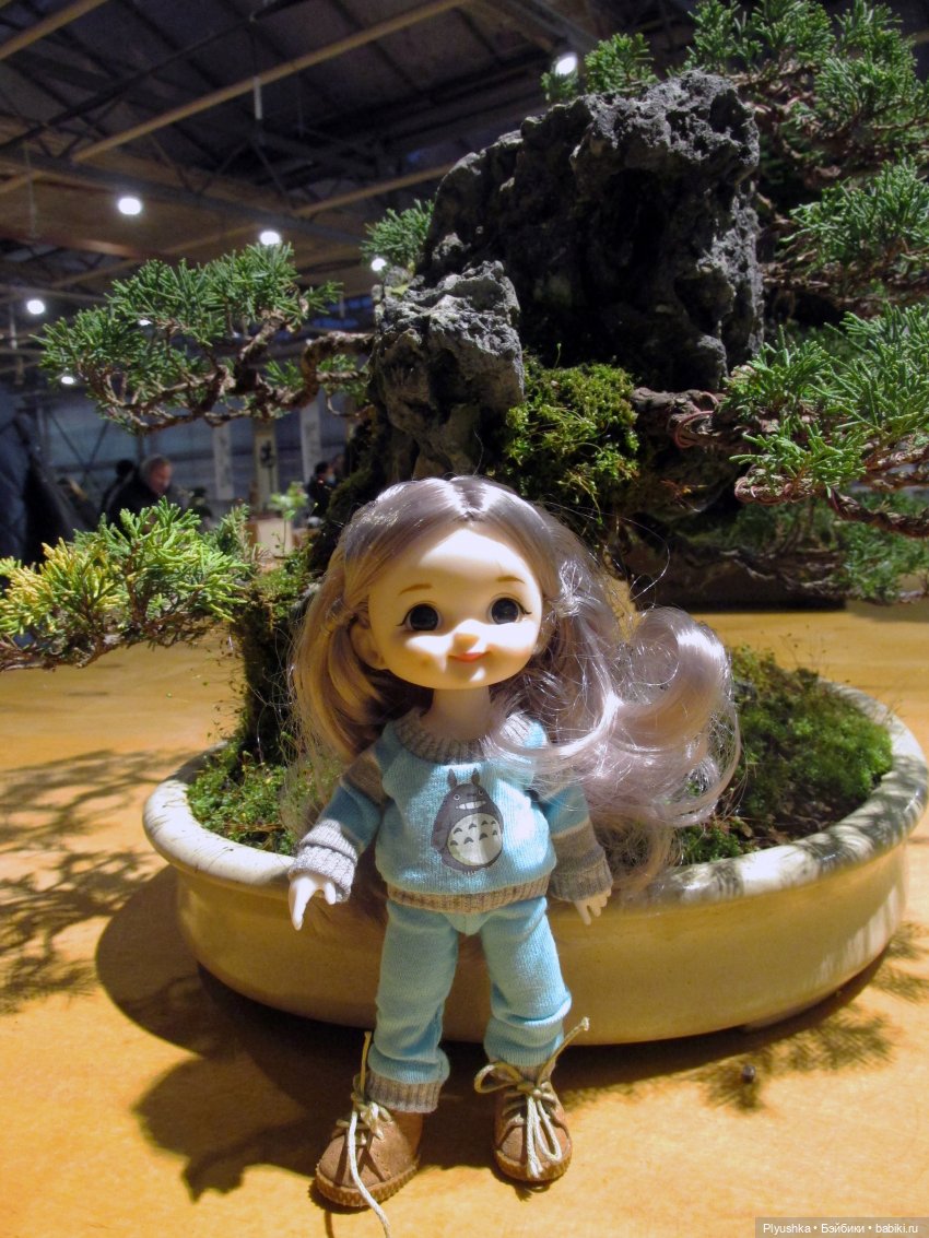 А вы знаете, где сейчас цветут орхидеи